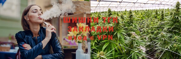 PSILOCYBIN Алзамай