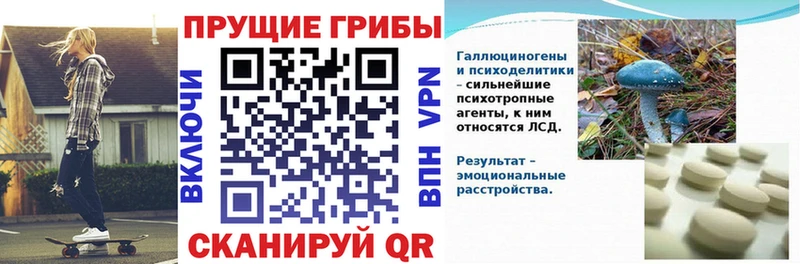 mega   Волгоград  Галлюциногенные грибы MAGIC MUSHROOMS 