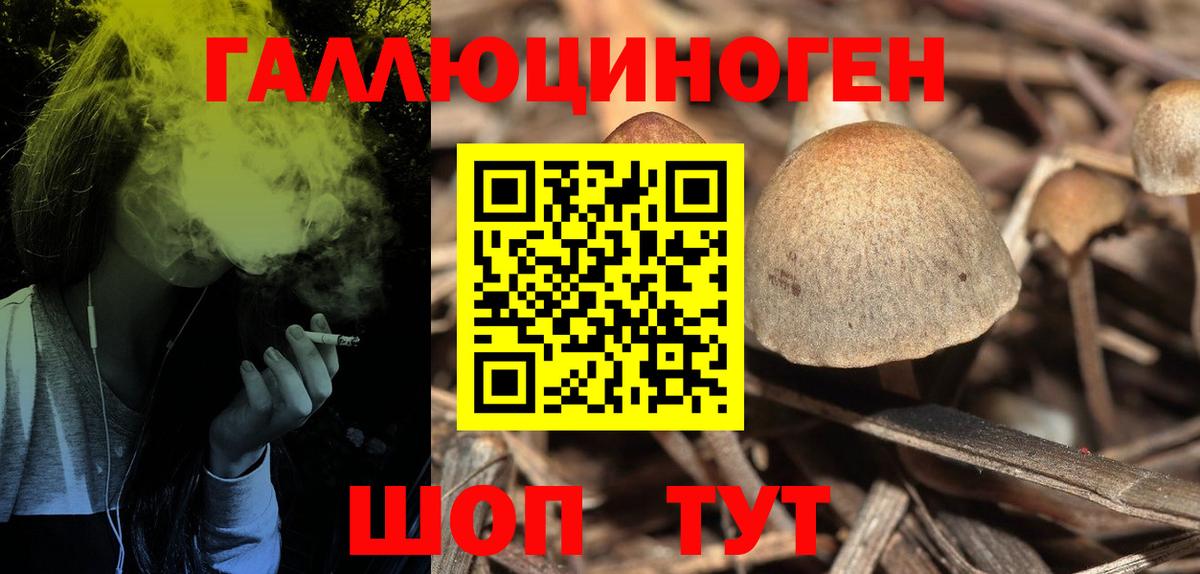 Псилоцибиновые грибы ЛСД Волгоград