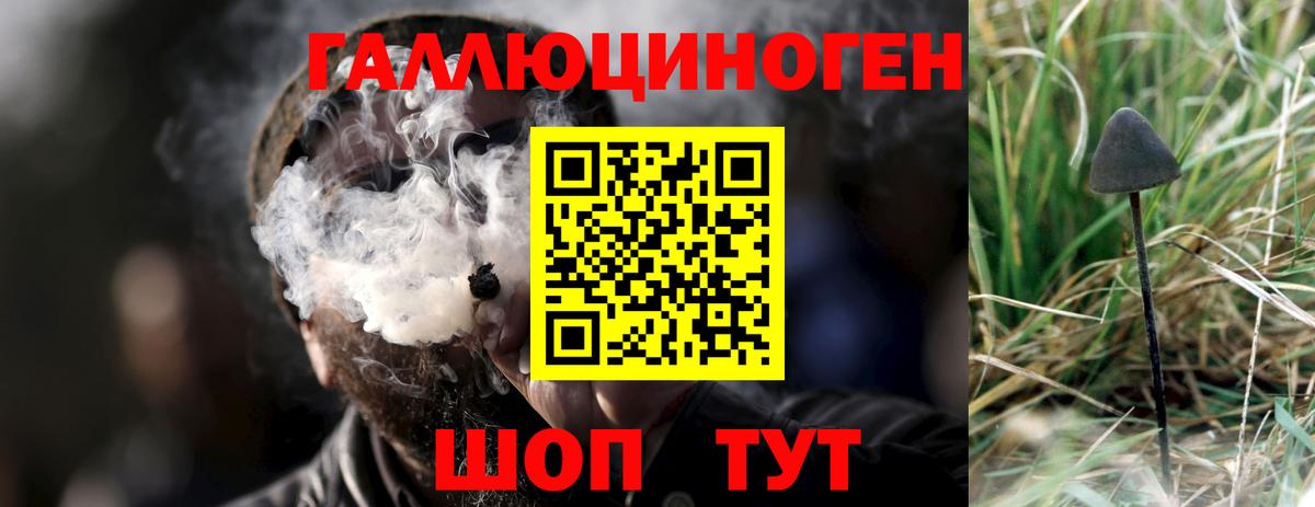 Волгоград  Галлюциногенные грибы мицелий  Вход с VPN 