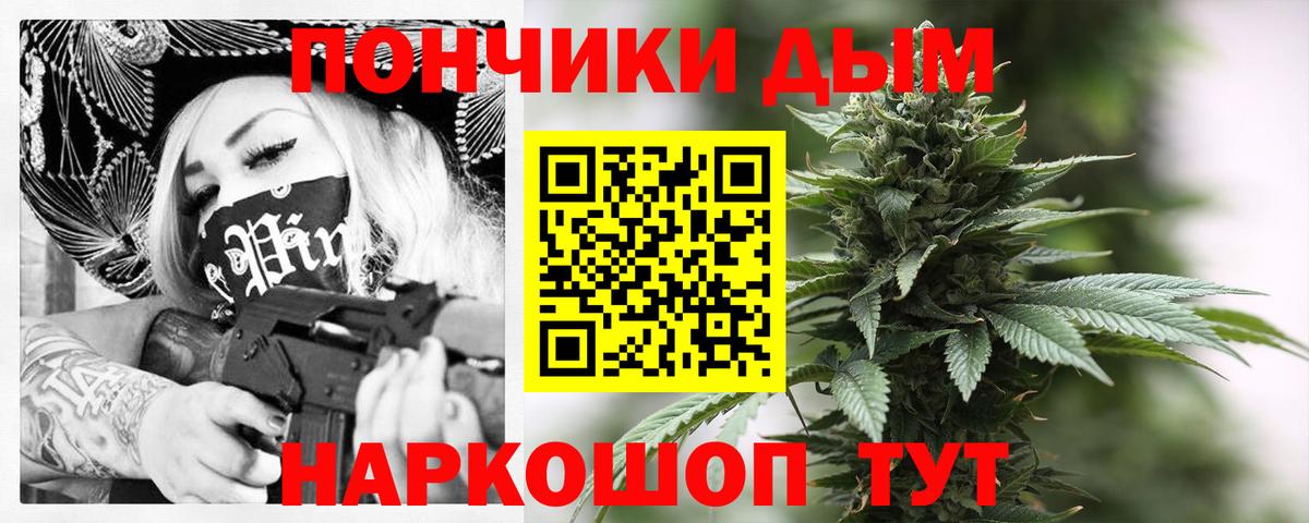 Конопля сатива Волгоград